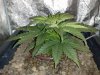 20130630026.jpg