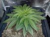 20130630027.jpg