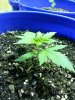 20130630_172938.jpg 20130630_172938.jpg