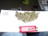 100_2506.jpg