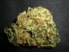 DEATHSTAR 1_7-1-13.jpg