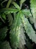 20130702_110627.jpg