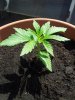 20130606_114854.jpg 20130606_114854.jpg