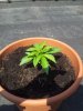 20130608_123943.jpg
