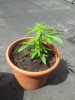20130616_114142.jpg