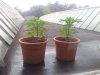20130619_201440.jpg