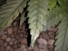 20130702032.jpg