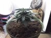 20130703_160812.jpg