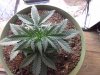 20130703_160743.jpg