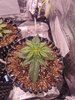 IMG_20201228_124034.jpg