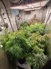 IMG20201231195249.jpg
