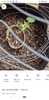 Screenshot_20210103-194638.png