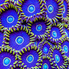 261AB320-3749-44BB-AFE6-C041A39DB528.jpeg