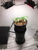 Pro Pot - 1.jpeg