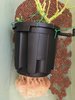 Pro Pot Roots - 3.jpeg