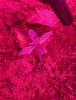 20210116_4.jpg