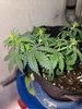 20210103_170844.jpg