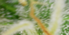 2021-01-20-23-41-06.png