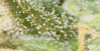 2021-01-20-23-39-22.png