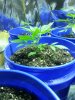 20130704_185421.jpg 20130704_185421.jpg