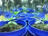 20130704_185435.jpg 20130704_185435.jpg