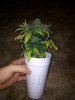 20130704_210224.jpg