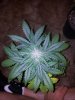 20130704_211119.jpg