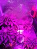 20130704_211514.jpg