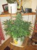 IMG_0074.jpg