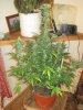 IMG_0076.jpg