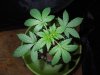 DSCN5765.jpg
