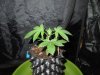 DSCN5771.jpg