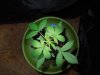 DSCN5774.jpg