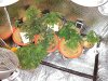 IMG_20130706_220609.jpg