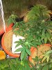 IMG_20130706_215953.jpg