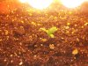 20130707_145630.jpg