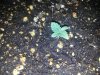 20130707_114043.jpg