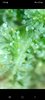 Screenshot_20210208-150325_Messages.jpg