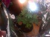 IMG-20130708-00102.jpg