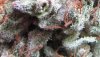 Untitled-1_04.jpg