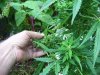 100_2646.jpg