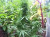 100_2647.jpg