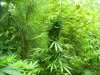 100_2656.jpg