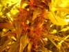 new stuff 058.jpg