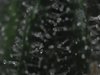 E68A61DA-394F-47B9-AE15-A849918011FB.jpeg