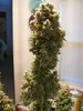 After trim.JPG