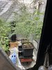 9100018C-D2BA-424D-8D18-BA80B394E2CE.jpeg