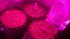2011-10-11_09-38-14_584.jpg 2011-10-11_09-38-14_584.jpg