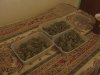 CAM_0348.JPG