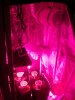 tent4.JPG